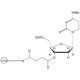 3'-dC CPG  | FIVEphoton Biochemicals | Oligonucleotide Synthesis Reagent |  HPT2001